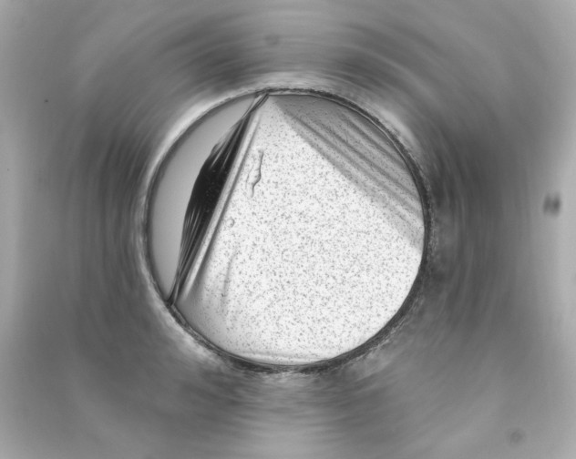 X0000090500992200708102237