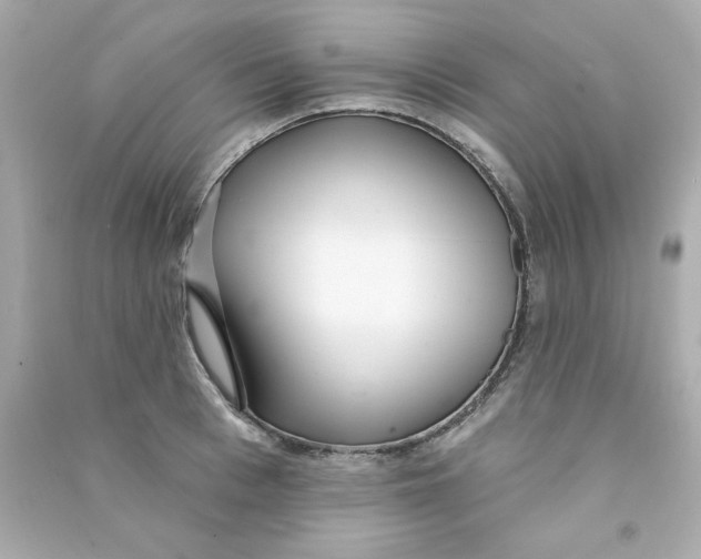 X0000090500993200708102237