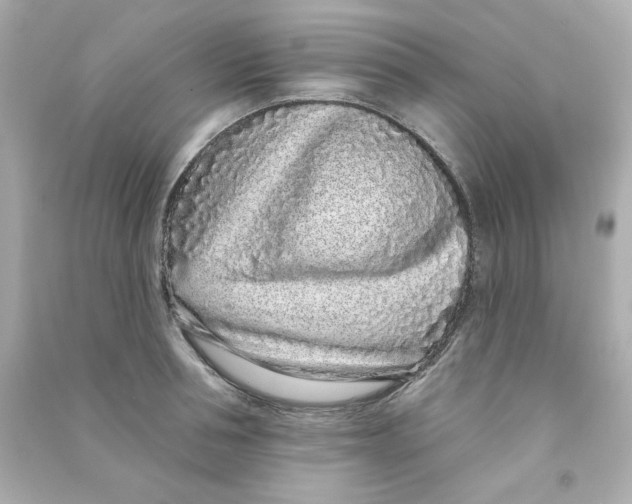 X0000090500994200708102237