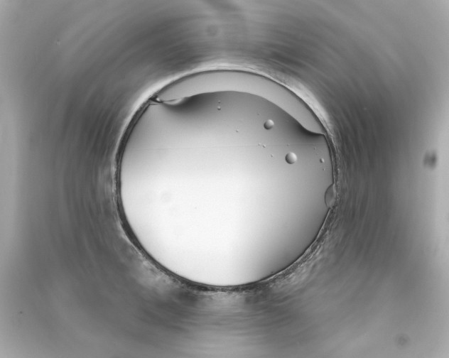 X0000090500996200708102237