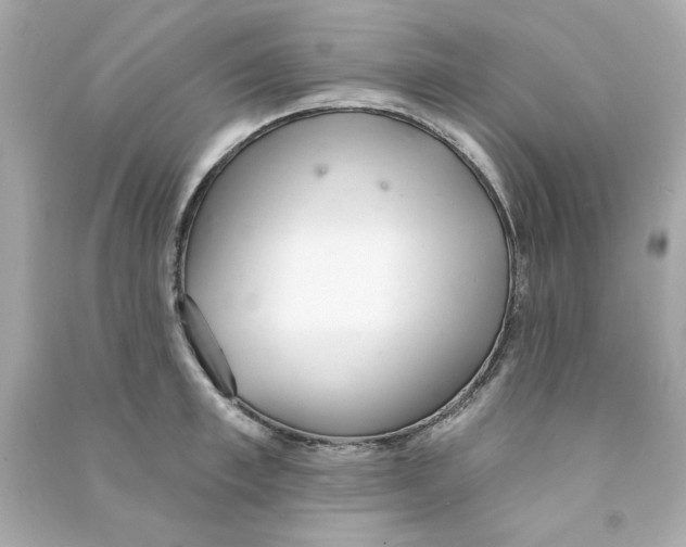 X0000090500997200708102237