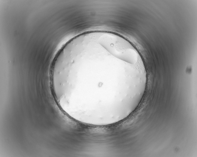 X0000090500998200708102237