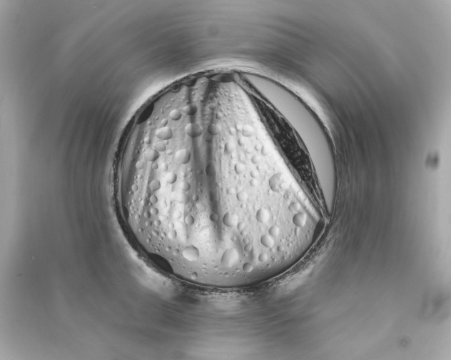 X0000090500999200708102237