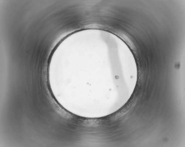 X0000090501000200708102237