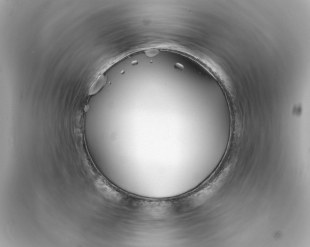 X0000090501001200708102237