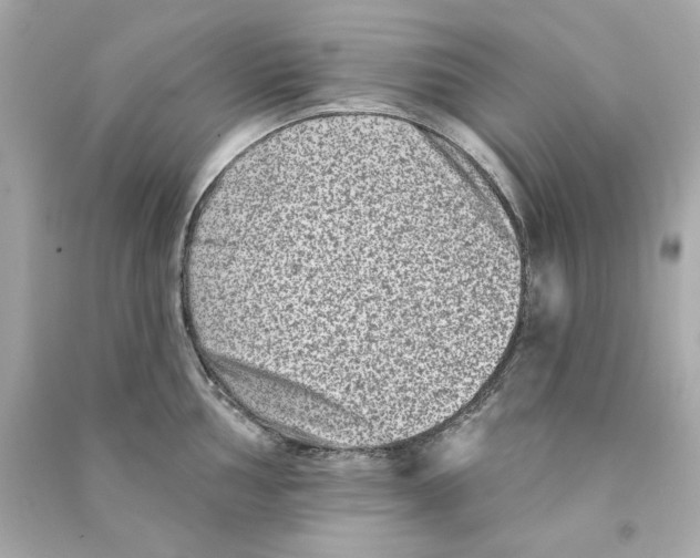 X0000090501002200708102237