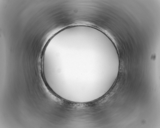 X0000090501003200708102237