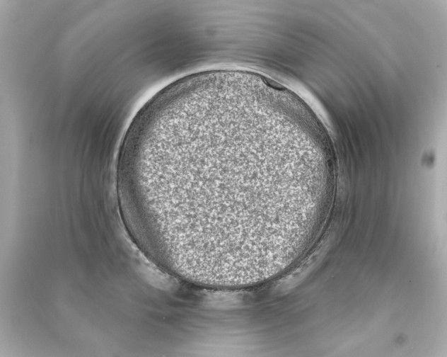 X0000090501004200708102237