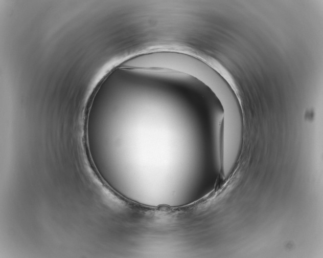 X0000090501005200708102237