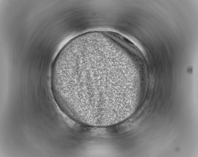 X0000090501006200708102237