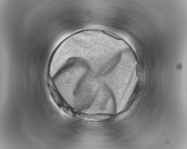 X0000090501007200708102237