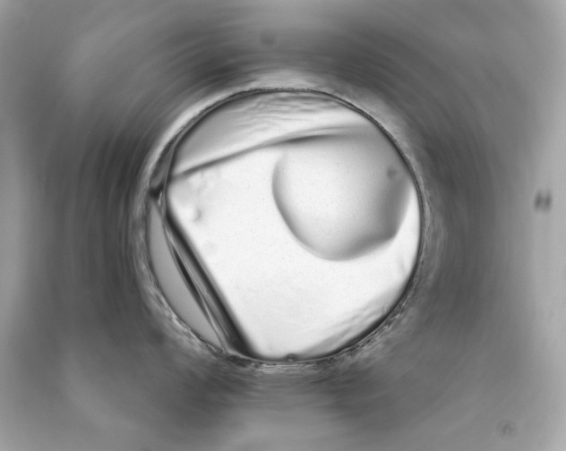 X0000090501008200708102237