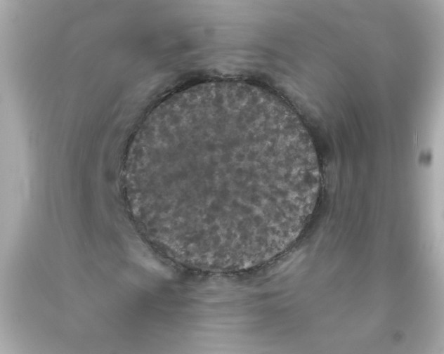 X0000090501009200708102236