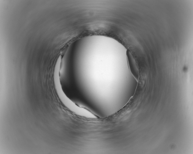 X0000090501010200708102236