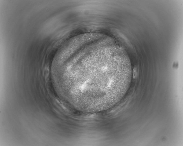 X0000090501011200708102236