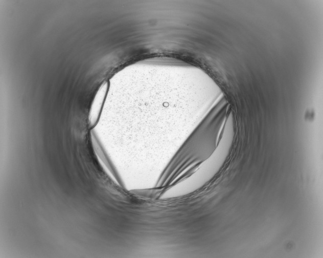 X0000090501012200708102236