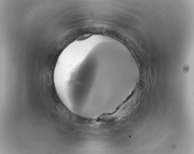 X0000090501013200708102236