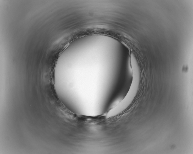 X0000090501014200708102236