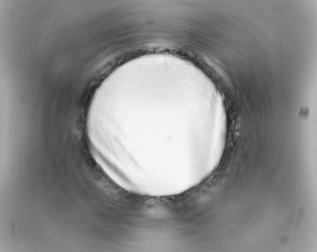 X0000090501015200708102236