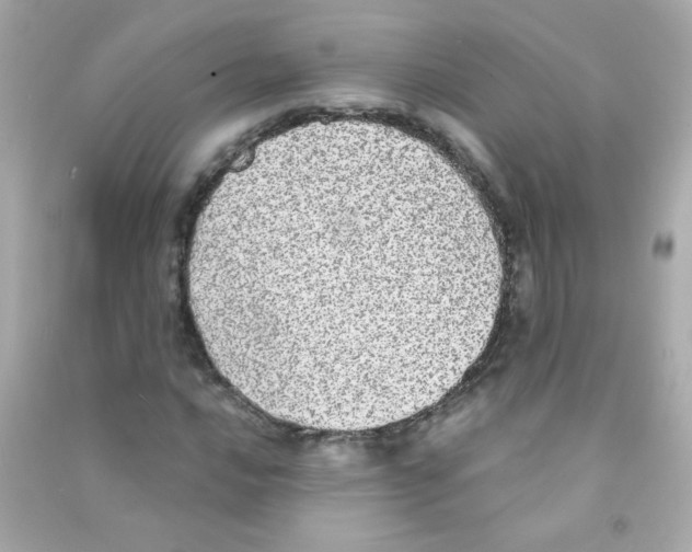 X0000090501016200708102236