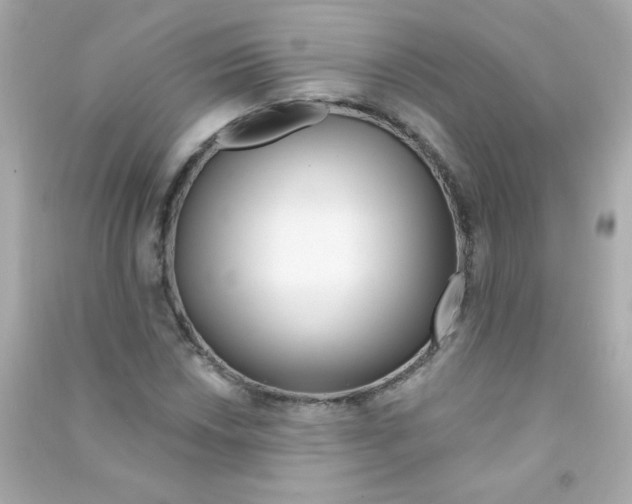 X0000090501018200708102236