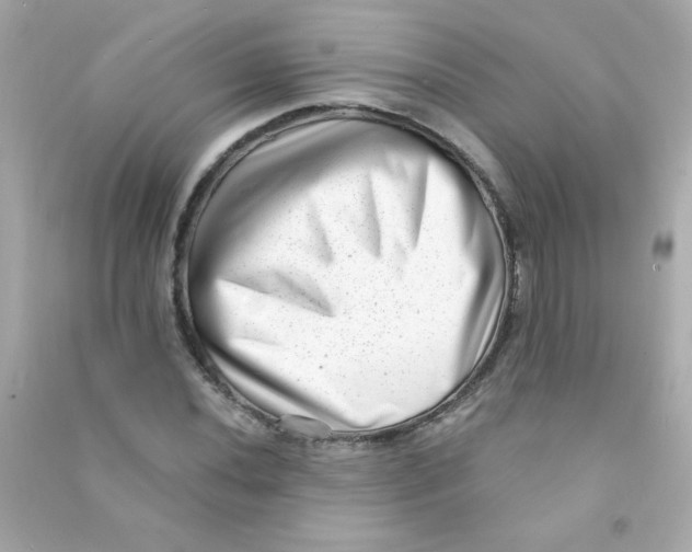 X0000090501020200708102236