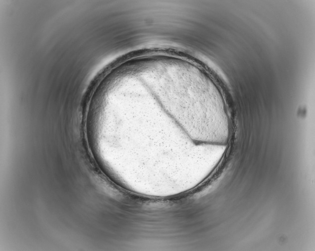 X0000090501021200708102236