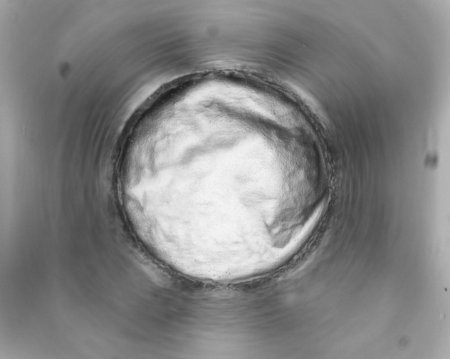 X0000090501023200708102236