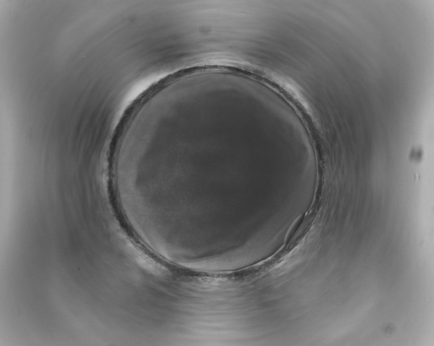 X0000090501024200708102236