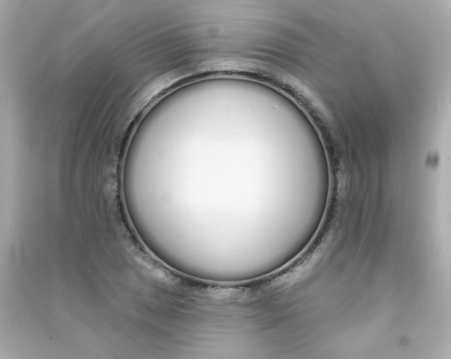 X0000090501025200708102236