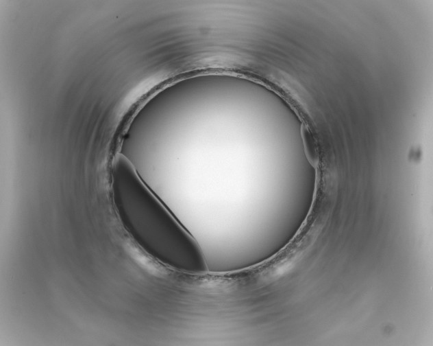 X0000090501026200708102236