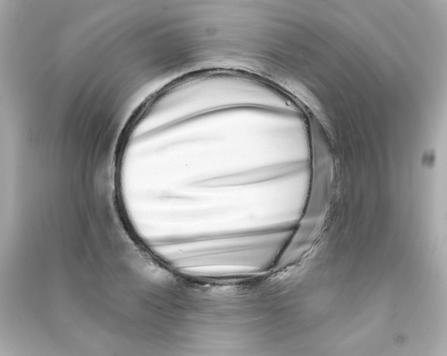 X0000090501028200708102236