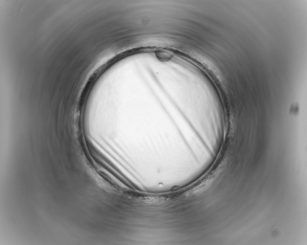 X0000090501029200708102236