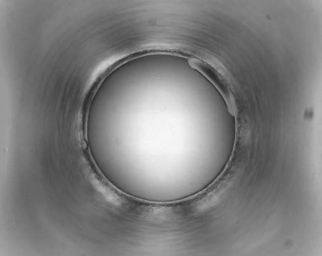 X0000090501030200708102236