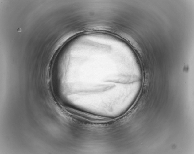 X0000090501031200708102236