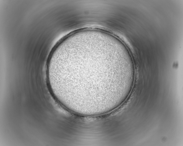 X0000090501032200708102236