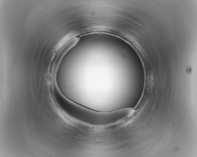 X0000090501034200708102236