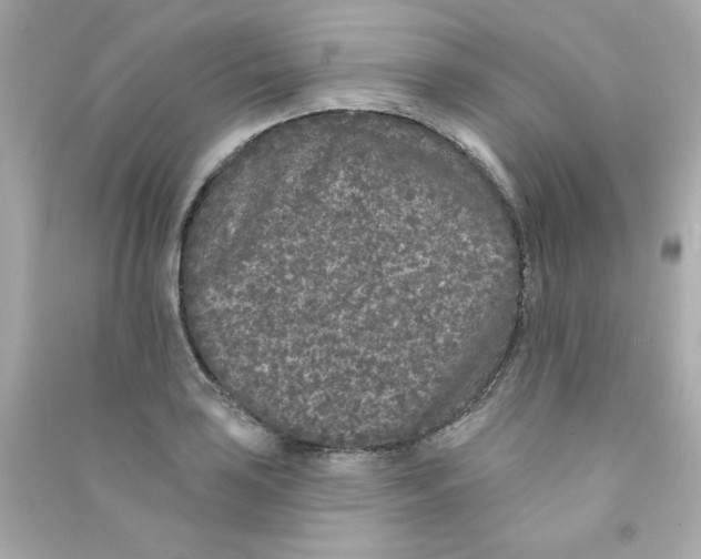 X0000090501035200708102236