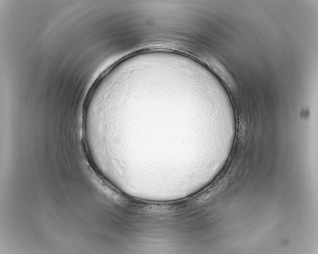 X0000090501036200708102236