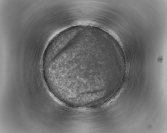 X0000090501037200708102236