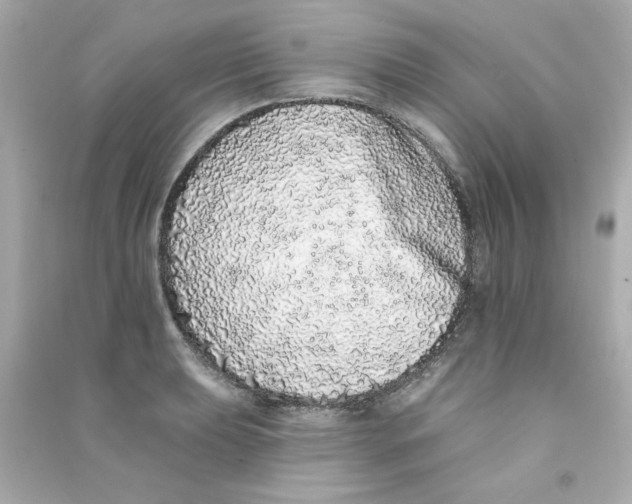 X0000090501039200708102236