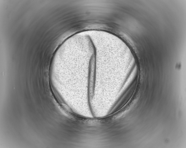 X0000090501041200708102236