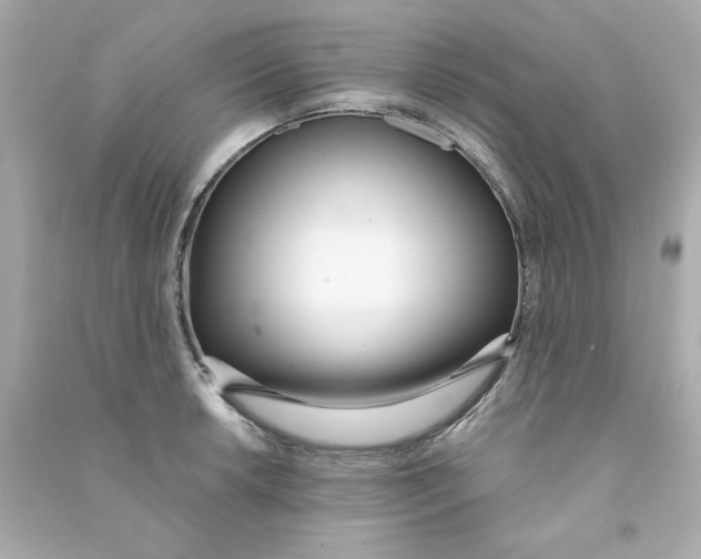 X0000090501042200708102236