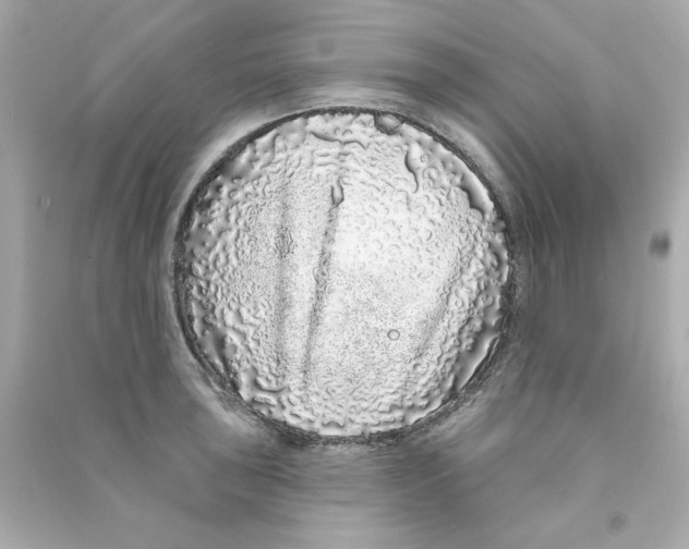 X0000090501043200708102236