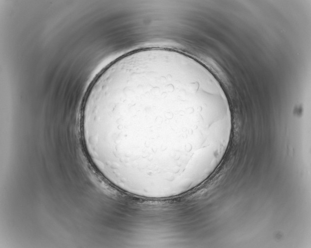 X0000090501044200708102236