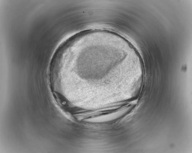 X0000090501045200708102236