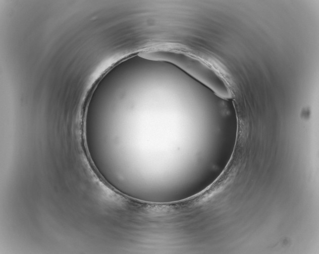 X0000090501046200708102236