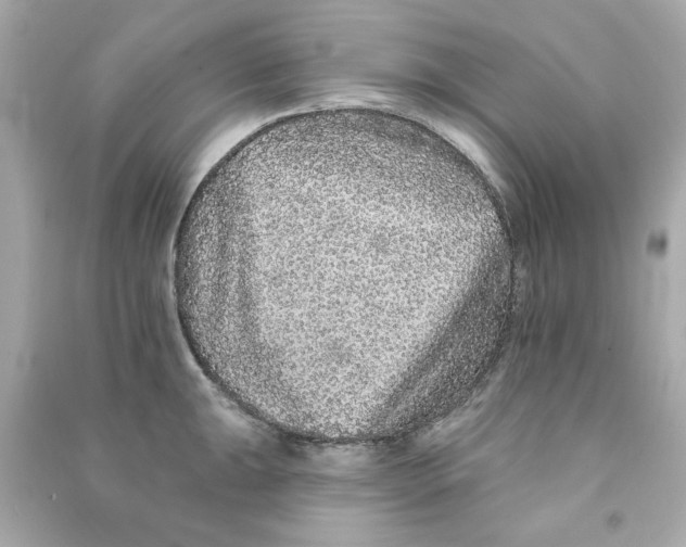 X0000090501047200708102236