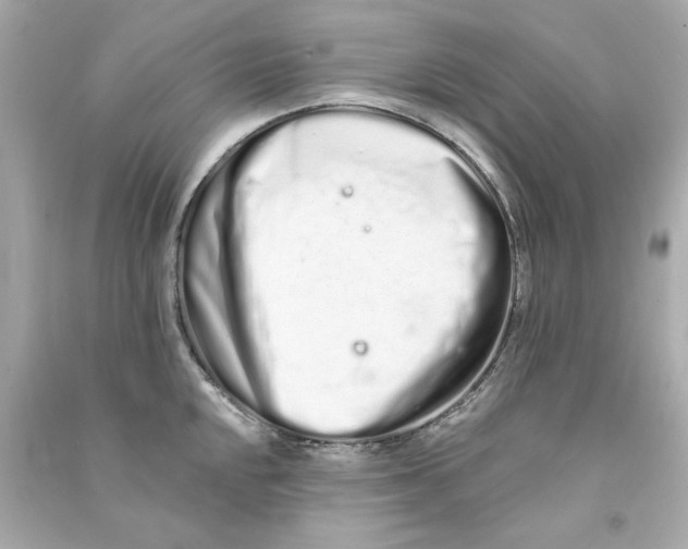 X0000090501048200708102236