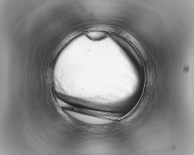 X0000090501049200708102236